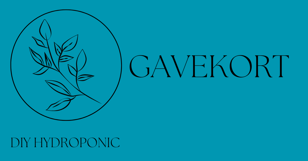 Gavekort