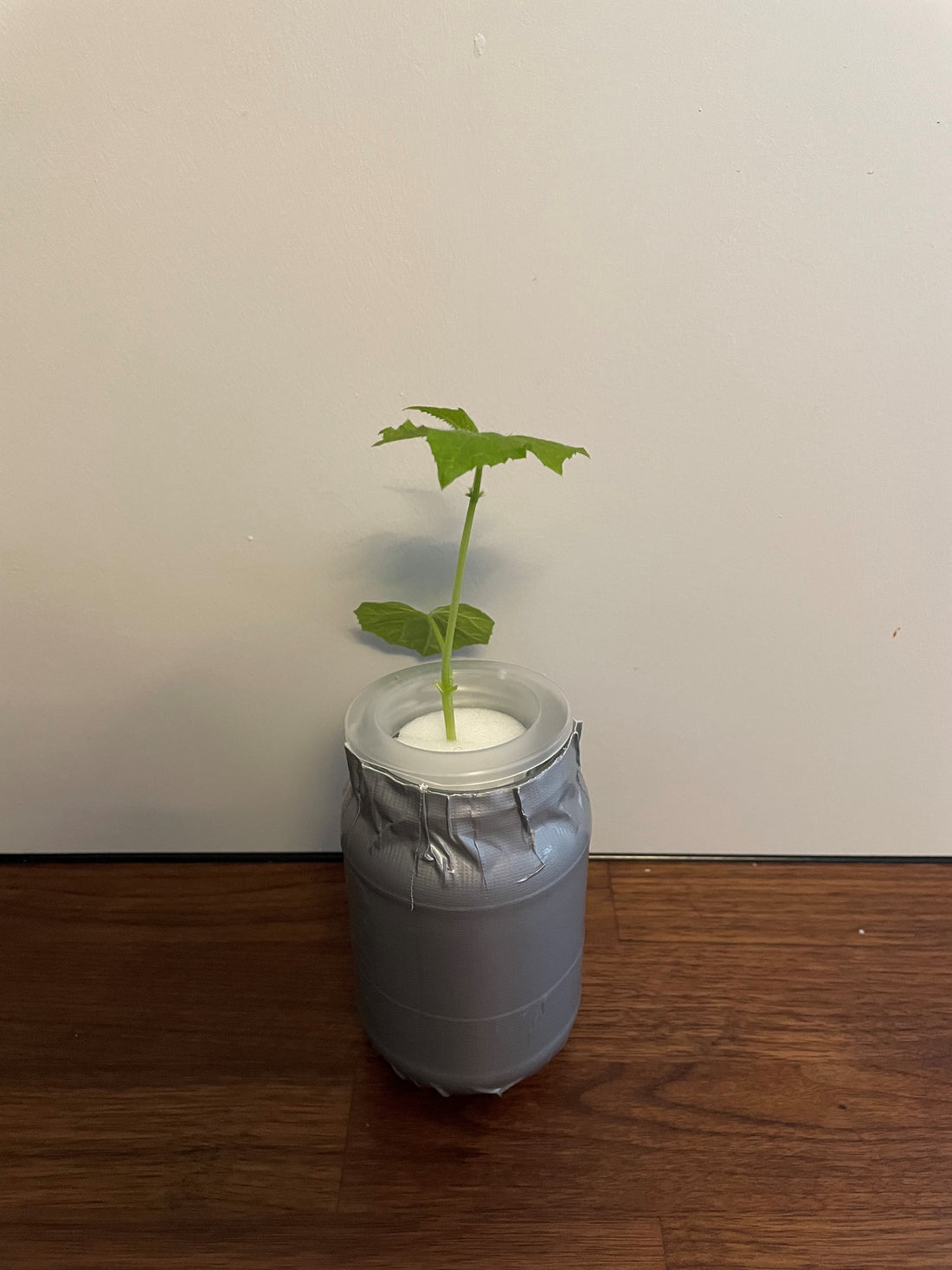 Lag et DIY hydroponisk system selv.