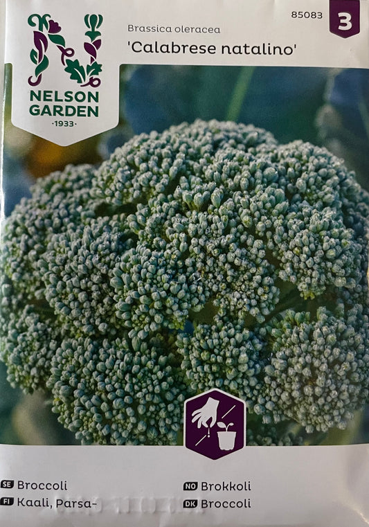 Brokkoli 'Calabrese natalino'