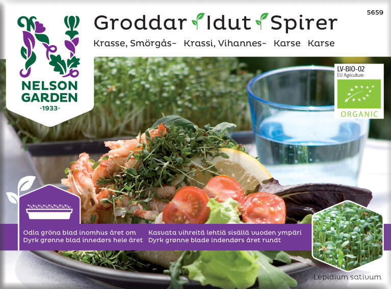 Karse frø, microgreens