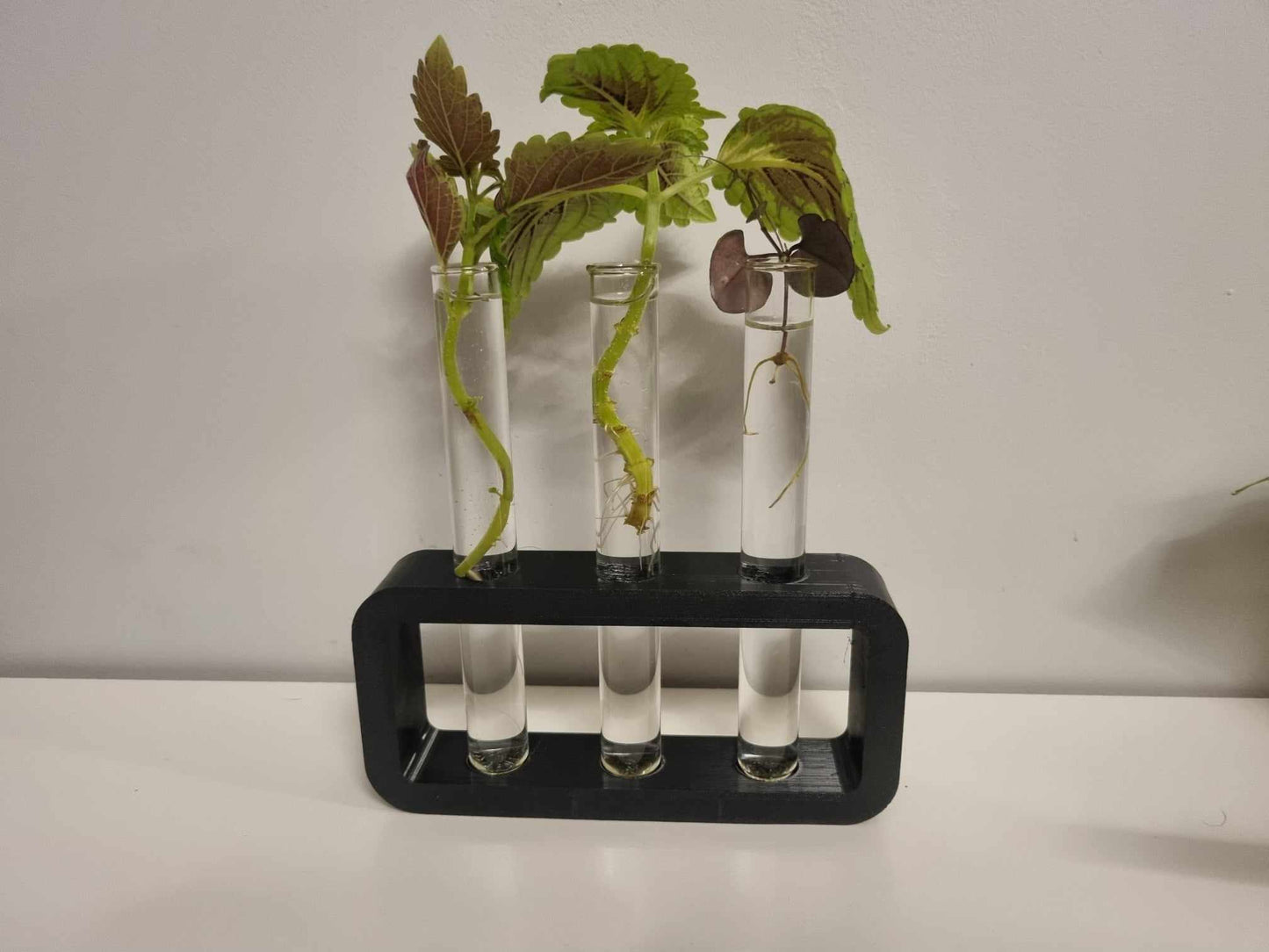 Propagation station