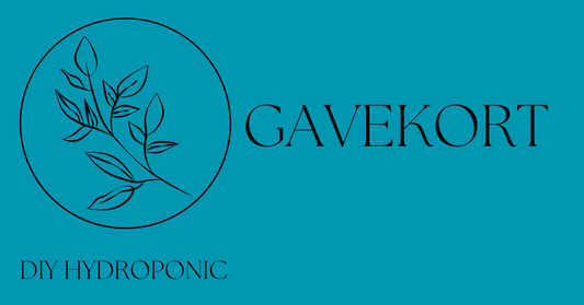 Gavekort