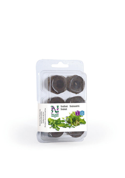 Planteplugg med frø, salat